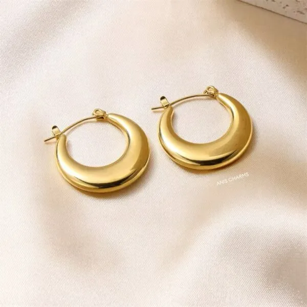 Golden Luxe Hoop Earrings